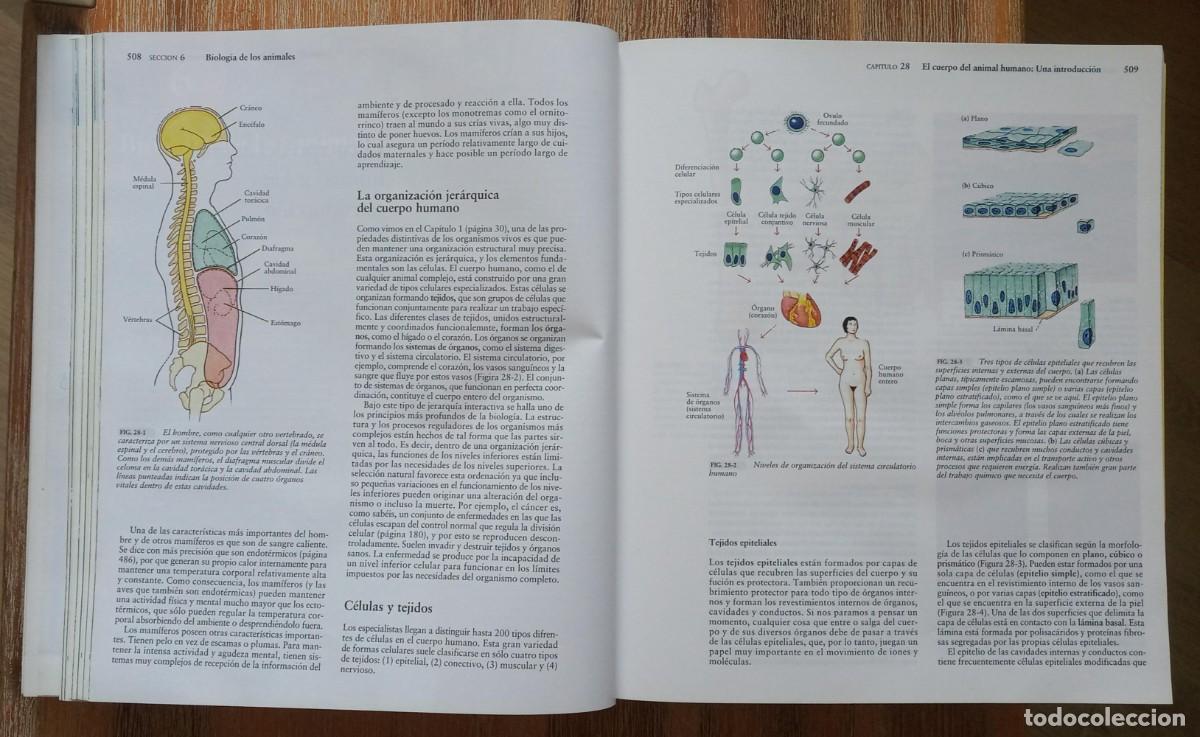 Libros de segunda mano: INVITACION A LA BIOLOGIA - CURTIS BARNES - Foto 4