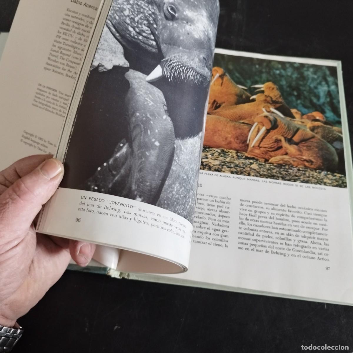Libros de segunda mano: LOS POLOS / WILLY LEY / CONSO 17-20 E / LIFE - Foto 12