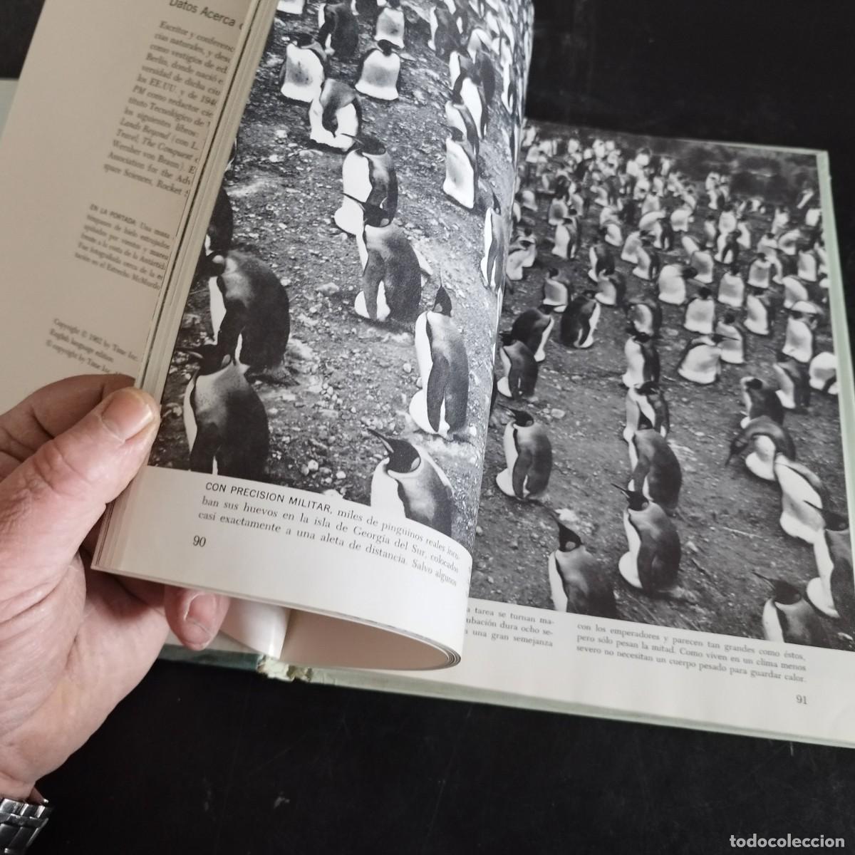 Libros de segunda mano: LOS POLOS / WILLY LEY / CONSO 17-20 E / LIFE - Foto 13