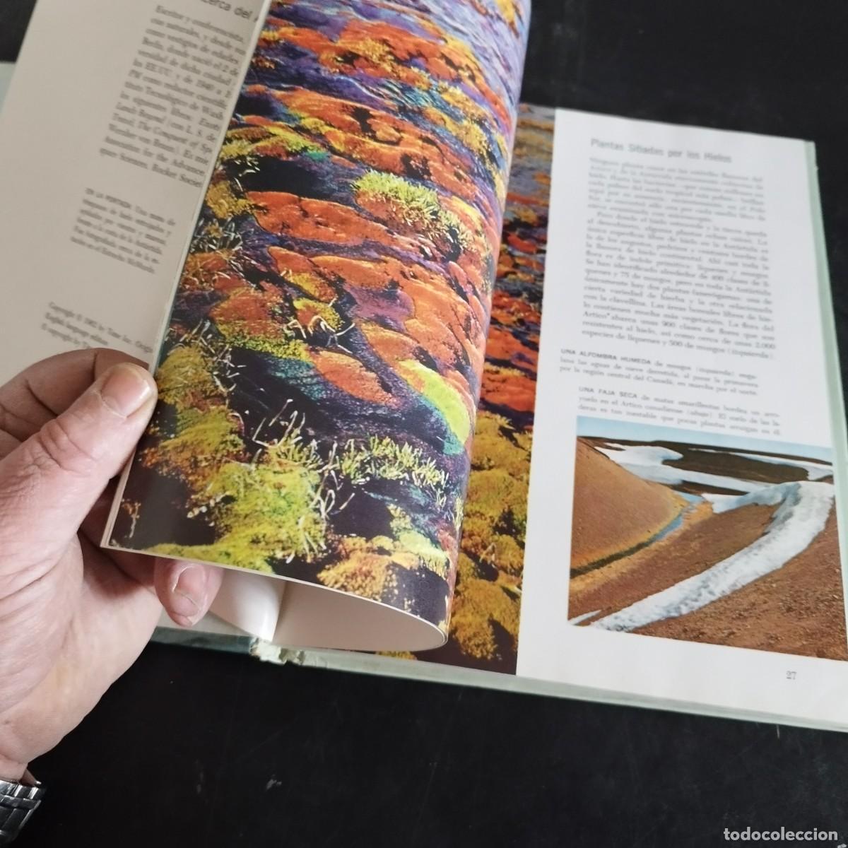Libros de segunda mano: LOS POLOS / WILLY LEY / CONSO 17-20 E / LIFE - Foto 16