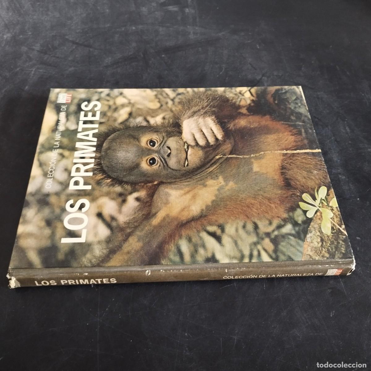 Libros de segunda mano: LOS PRIMATES / SAREL EIMER E IRVEN DEVORE / CONSO 17-20 E / LIFE - Foto 1