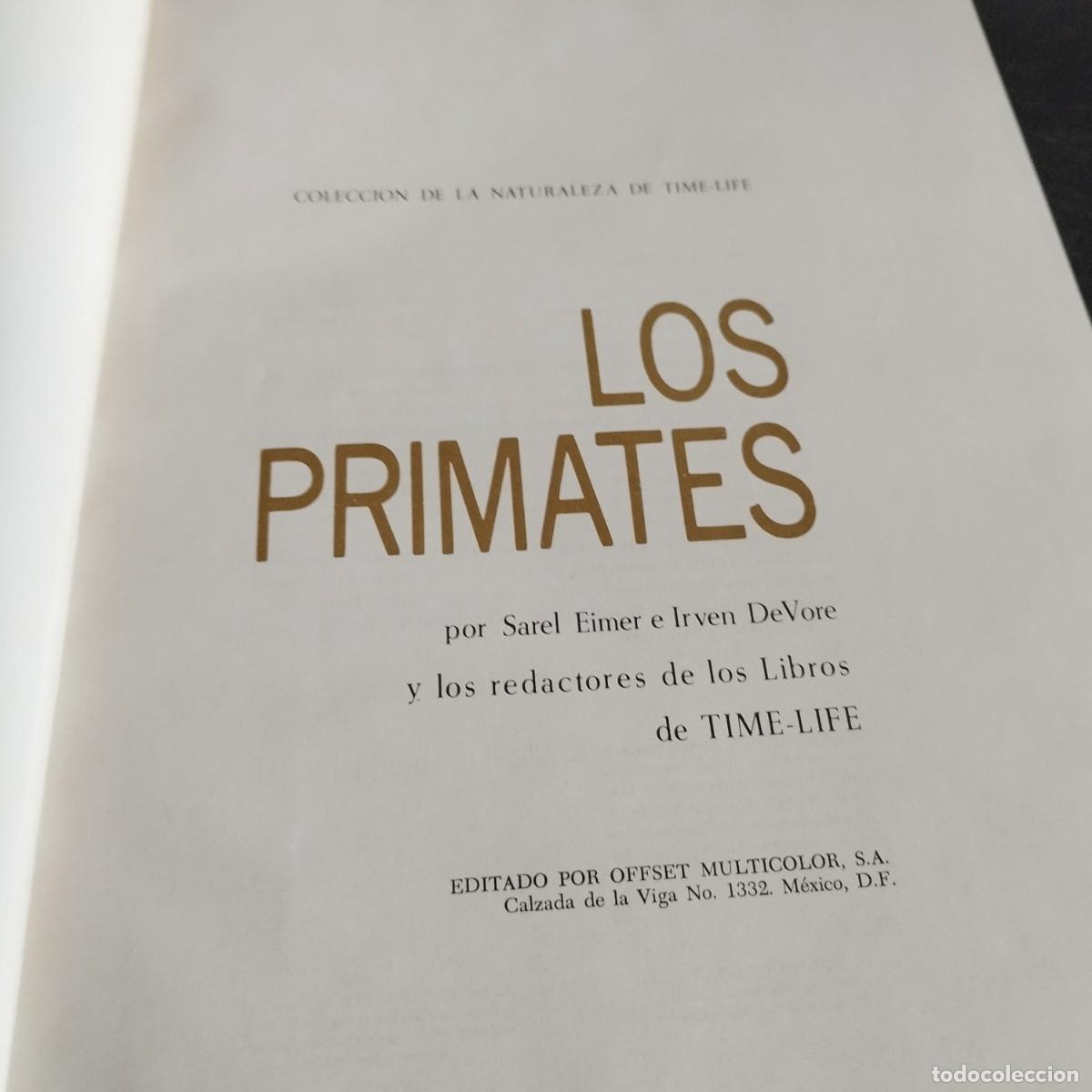 Libros de segunda mano: LOS PRIMATES / SAREL EIMER E IRVEN DEVORE / CONSO 17-20 E / LIFE - Foto 3
