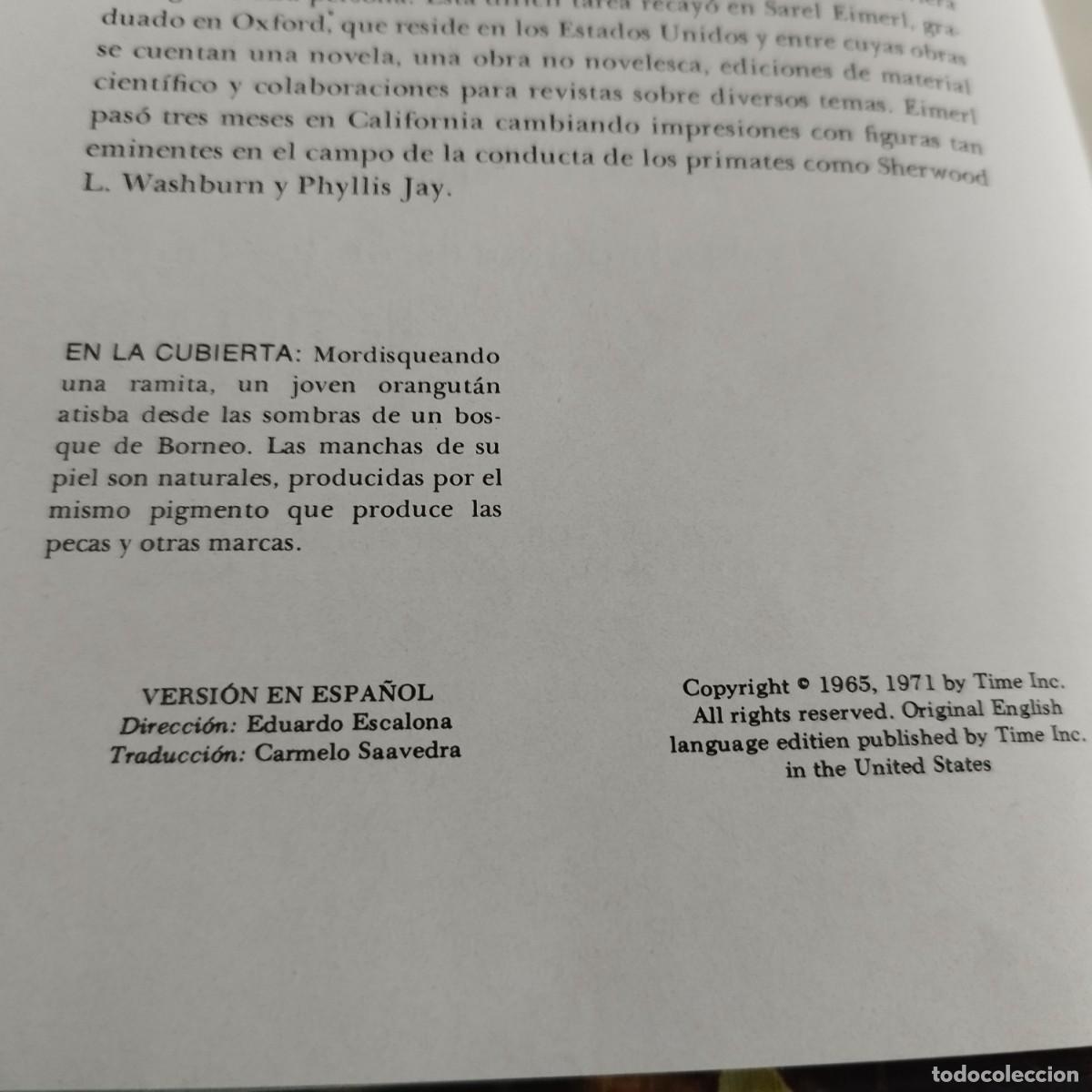 Libros de segunda mano: LOS PRIMATES / SAREL EIMER E IRVEN DEVORE / CONSO 17-20 E / LIFE - Foto 4
