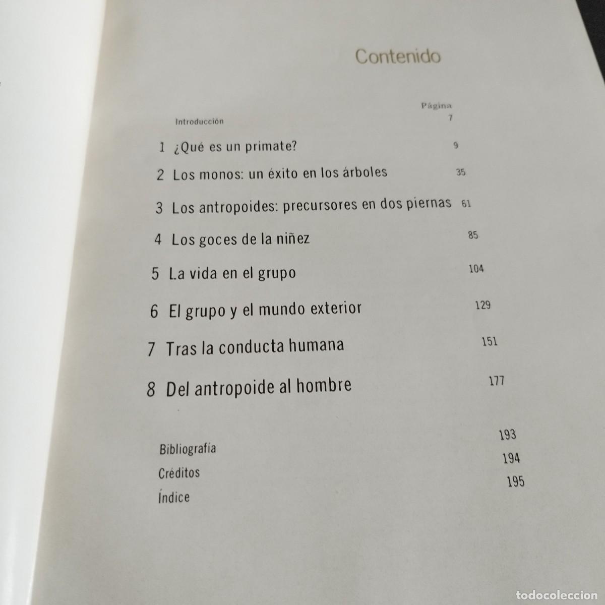 Libros de segunda mano: LOS PRIMATES / SAREL EIMER E IRVEN DEVORE / CONSO 17-20 E / LIFE - Foto 6