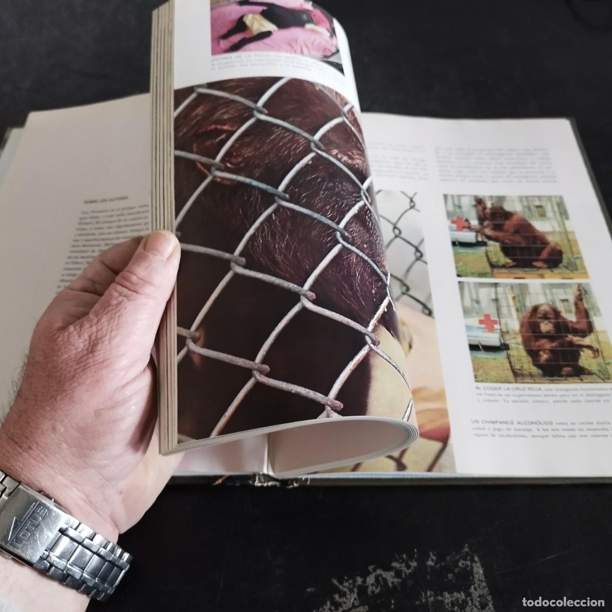 Libros de segunda mano: LOS PRIMATES / SAREL EIMER E IRVEN DEVORE / CONSO 17-20 E / LIFE - Foto 9