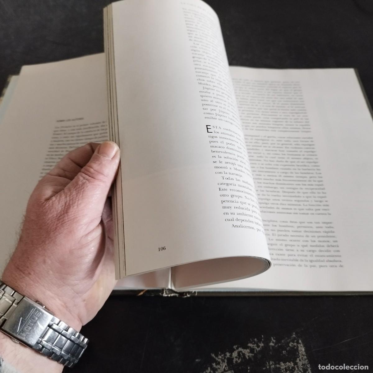 Libros de segunda mano: LOS PRIMATES / SAREL EIMER E IRVEN DEVORE / CONSO 17-20 E / LIFE - Foto 11