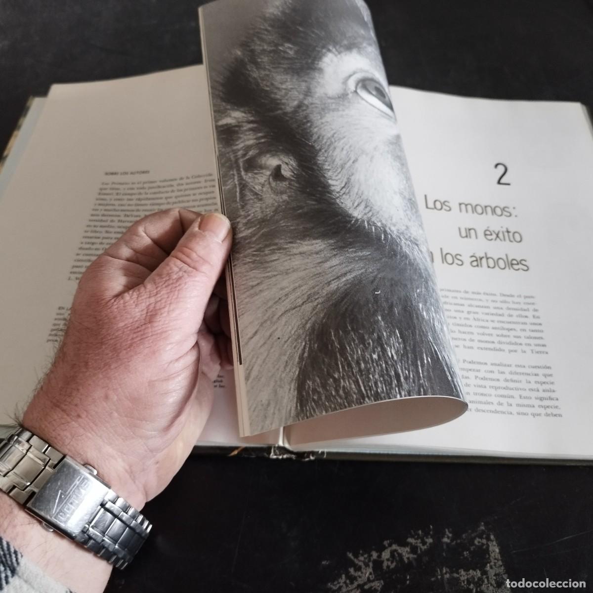 Libros de segunda mano: LOS PRIMATES / SAREL EIMER E IRVEN DEVORE / CONSO 17-20 E / LIFE - Foto 15