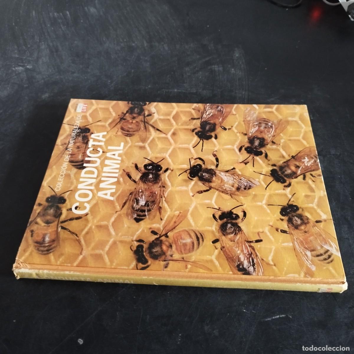 Libros de segunda mano: CODUCTA ANIMAL / NIKO TINBERGEN / CONSO 17-20 E / LIFE - Foto 1