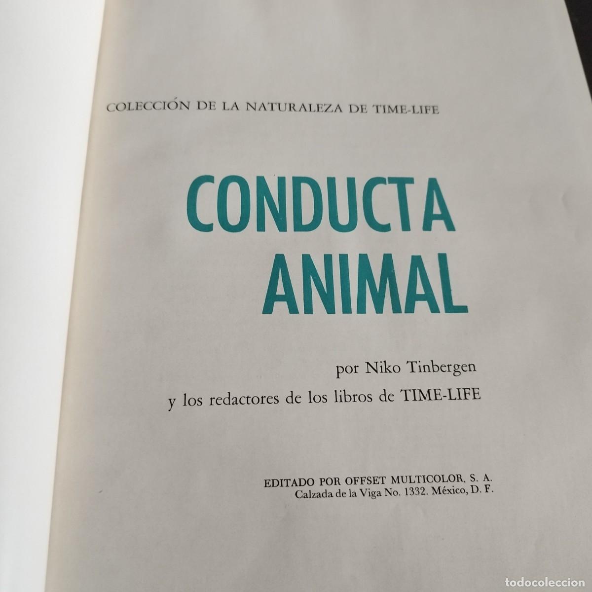 Libros de segunda mano: CODUCTA ANIMAL / NIKO TINBERGEN / CONSO 17-20 E / LIFE - Foto 2