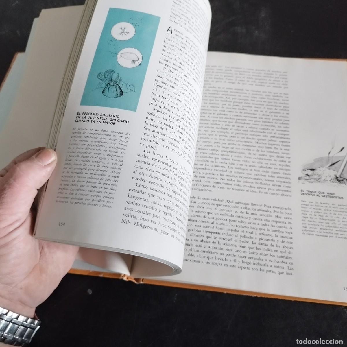 Libros de segunda mano: CODUCTA ANIMAL / NIKO TINBERGEN / CONSO 17-20 E / LIFE - Foto 6