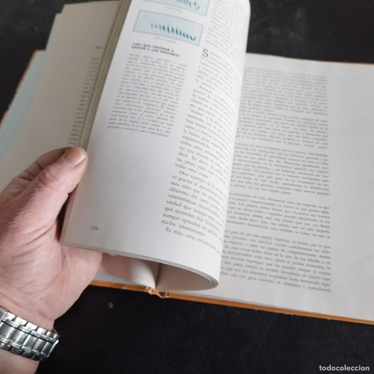 Libros de segunda mano: CODUCTA ANIMAL / NIKO TINBERGEN / CONSO 17-20 E / LIFE - Foto 8