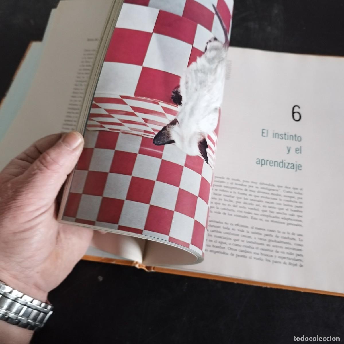 Libros de segunda mano: CODUCTA ANIMAL / NIKO TINBERGEN / CONSO 17-20 E / LIFE - Foto 9
