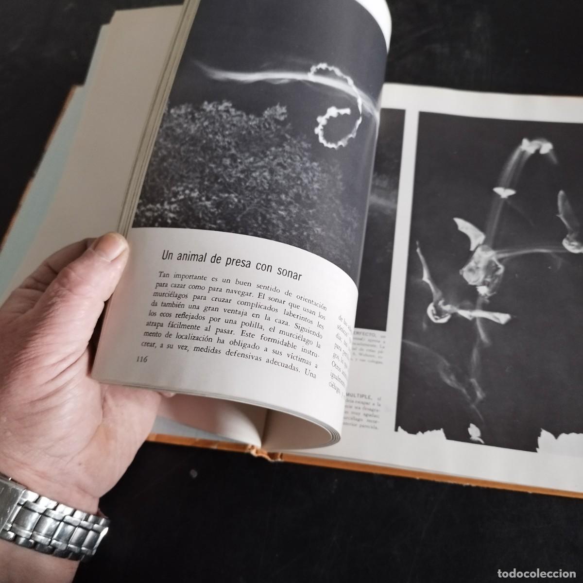 Libros de segunda mano: CODUCTA ANIMAL / NIKO TINBERGEN / CONSO 17-20 E / LIFE - Foto 10
