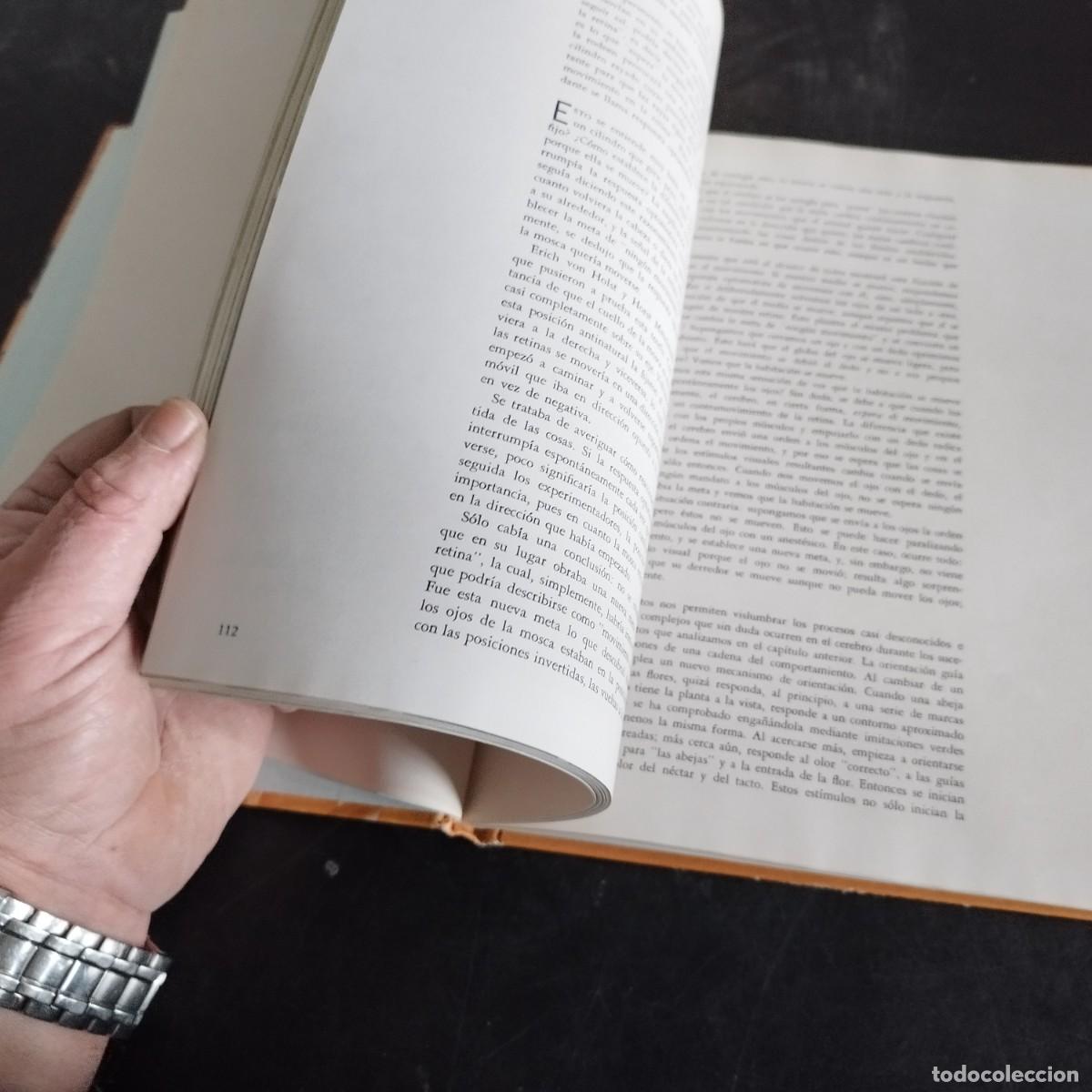 Libros de segunda mano: CODUCTA ANIMAL / NIKO TINBERGEN / CONSO 17-20 E / LIFE - Foto 11