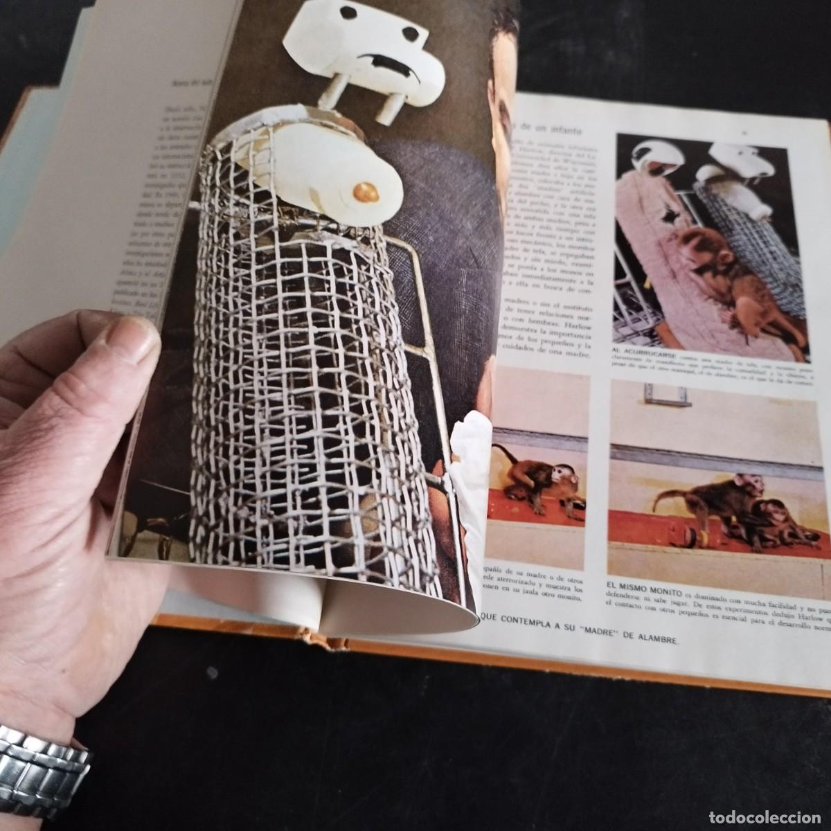 Libros de segunda mano: CODUCTA ANIMAL / NIKO TINBERGEN / CONSO 17-20 E / LIFE - Foto 16