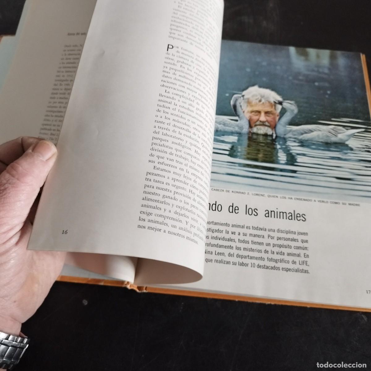 Libros de segunda mano: CODUCTA ANIMAL / NIKO TINBERGEN / CONSO 17-20 E / LIFE - Foto 17