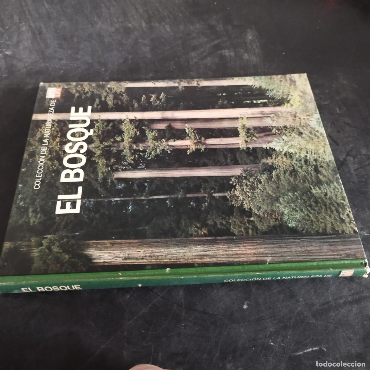 Libros de segunda mano: EL BOSQUE / PETER FARB / CONSO 17-20 E / LIFE - Foto 1