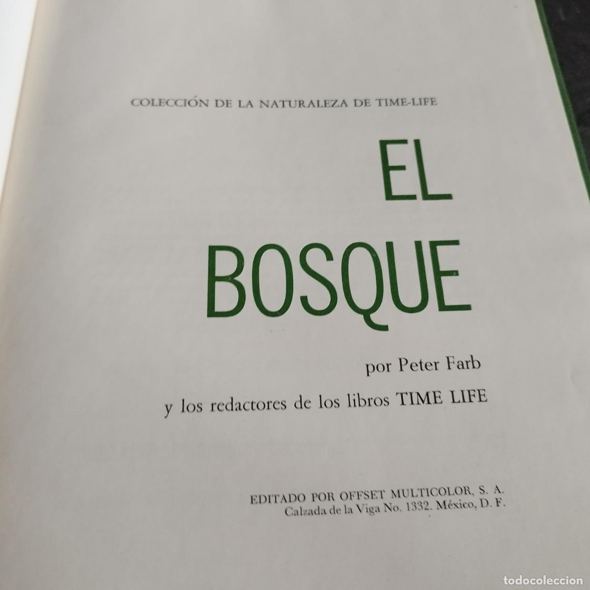 Libros de segunda mano: EL BOSQUE / PETER FARB / CONSO 17-20 E / LIFE - Foto 3