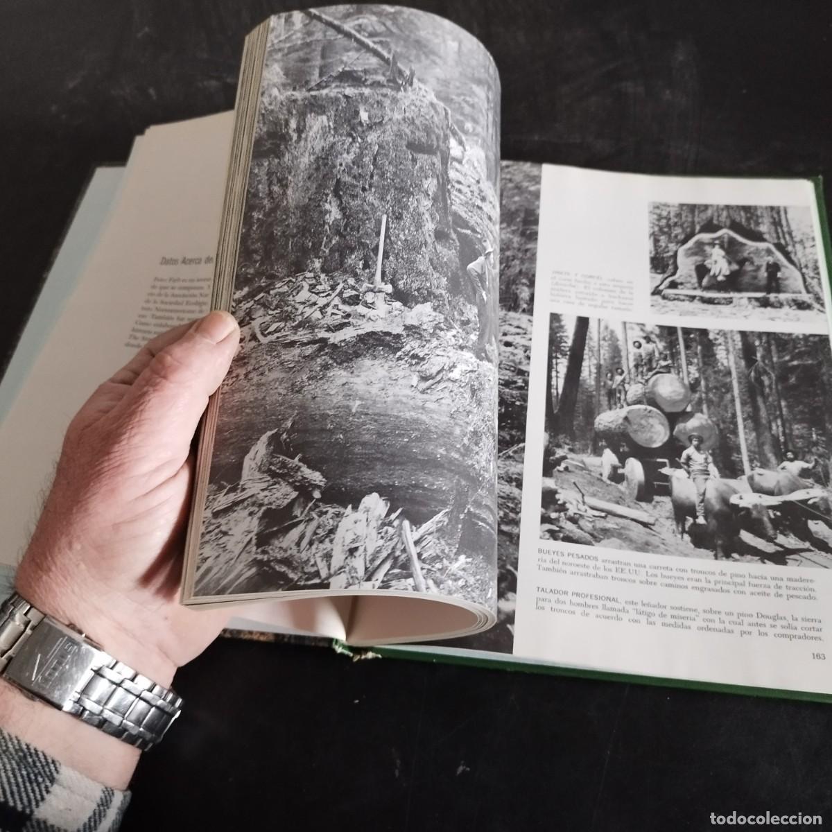 Libros de segunda mano: EL BOSQUE / PETER FARB / CONSO 17-20 E / LIFE - Foto 7