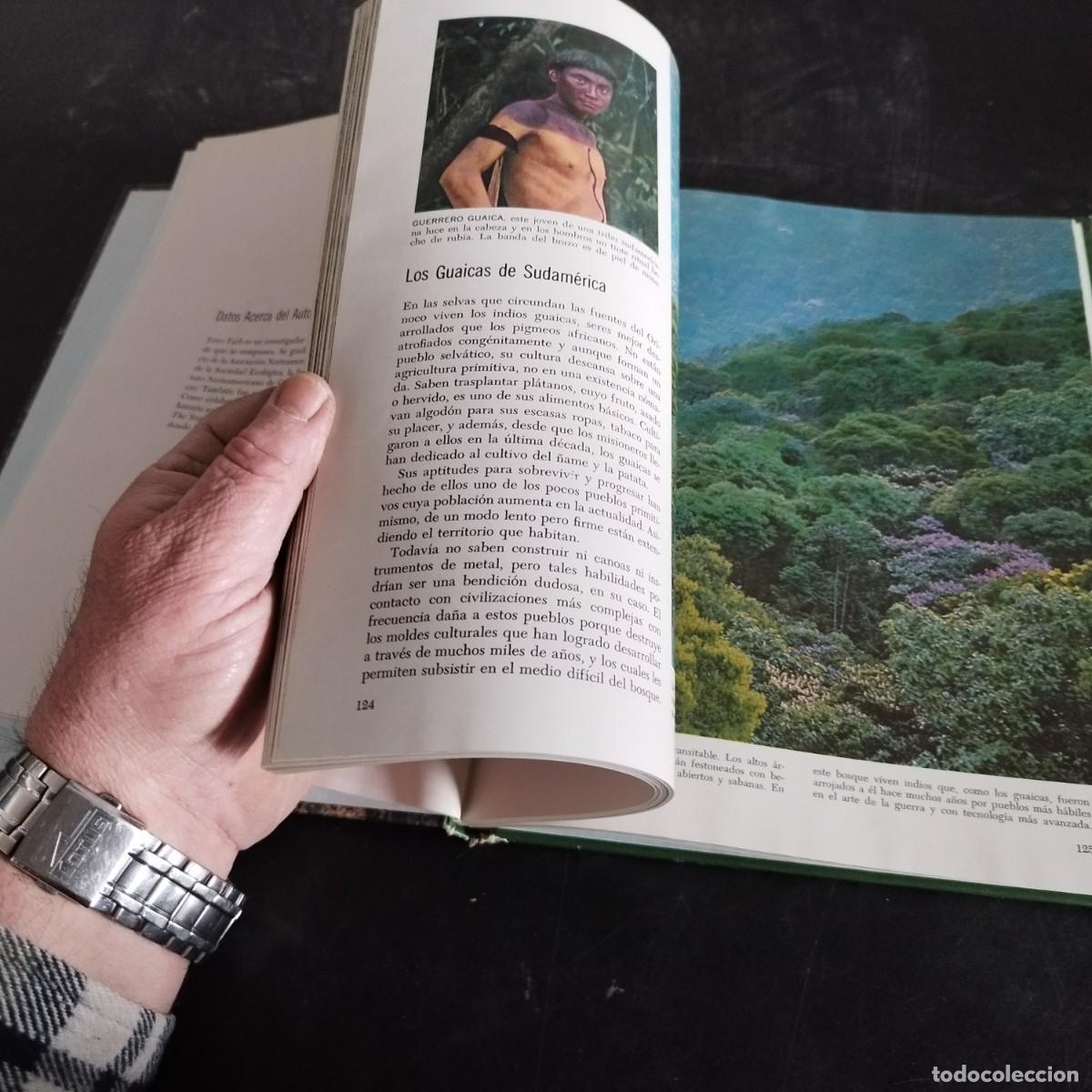 Libros de segunda mano: EL BOSQUE / PETER FARB / CONSO 17-20 E / LIFE - Foto 9