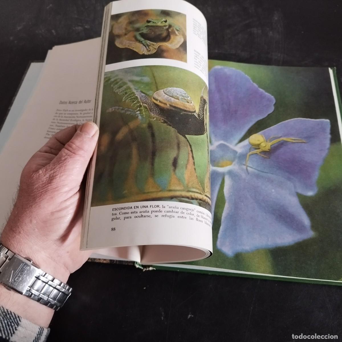 Libros de segunda mano: EL BOSQUE / PETER FARB / CONSO 17-20 E / LIFE - Foto 11