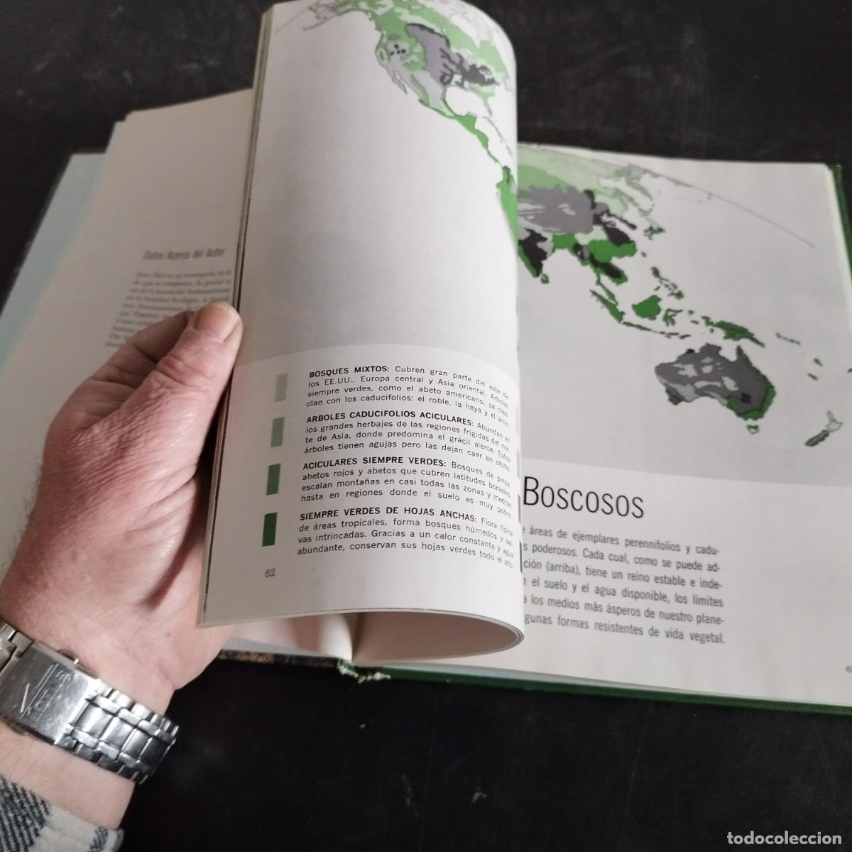 Libros de segunda mano: EL BOSQUE / PETER FARB / CONSO 17-20 E / LIFE - Foto 12