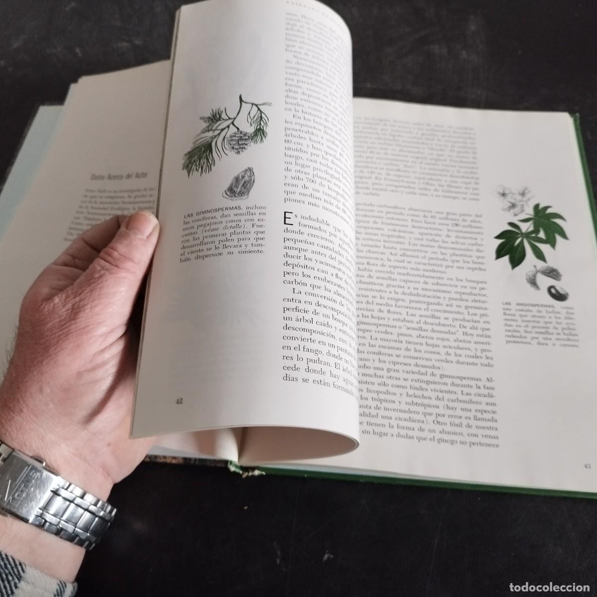 Libros de segunda mano: EL BOSQUE / PETER FARB / CONSO 17-20 E / LIFE - Foto 13