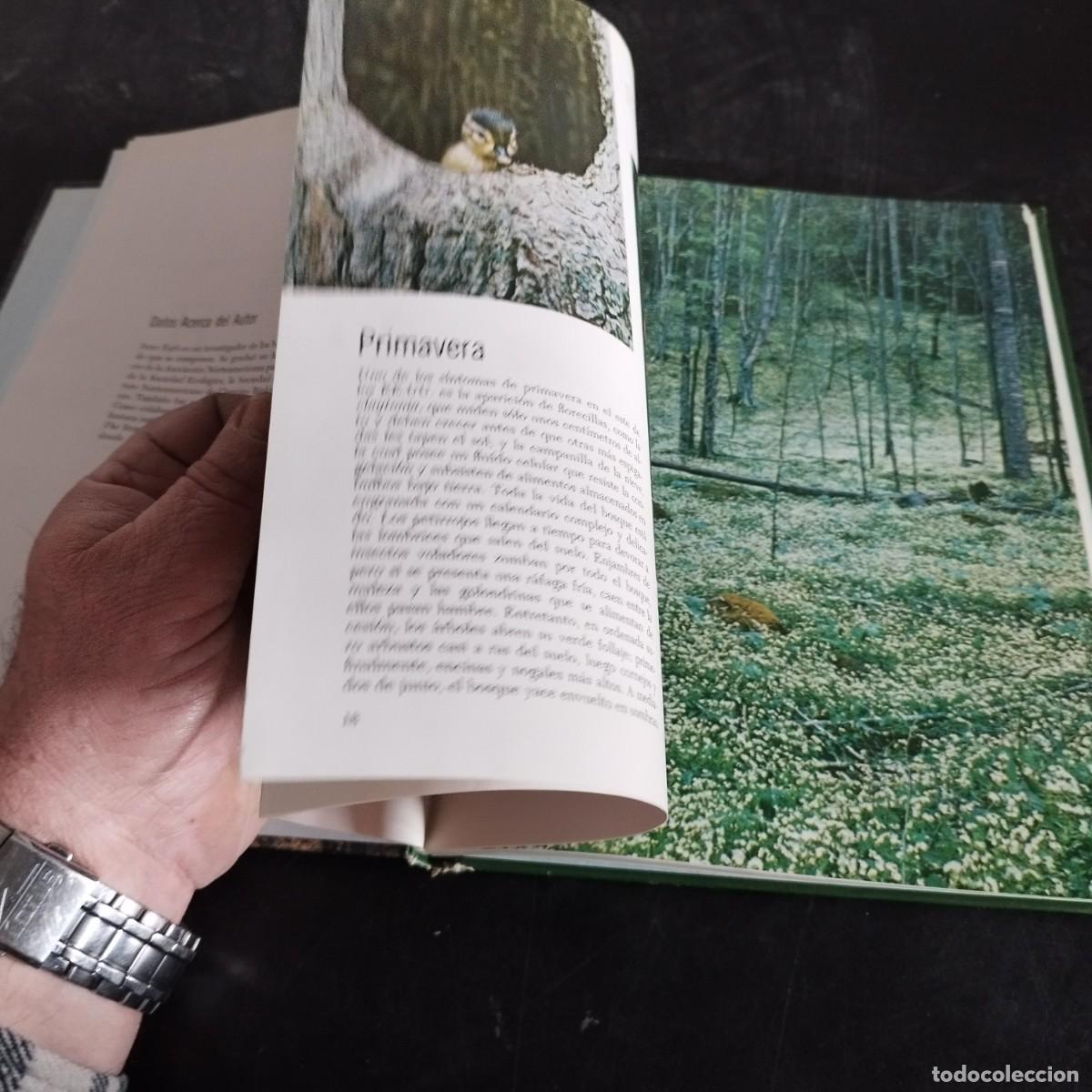 Libros de segunda mano: EL BOSQUE / PETER FARB / CONSO 17-20 E / LIFE - Foto 15
