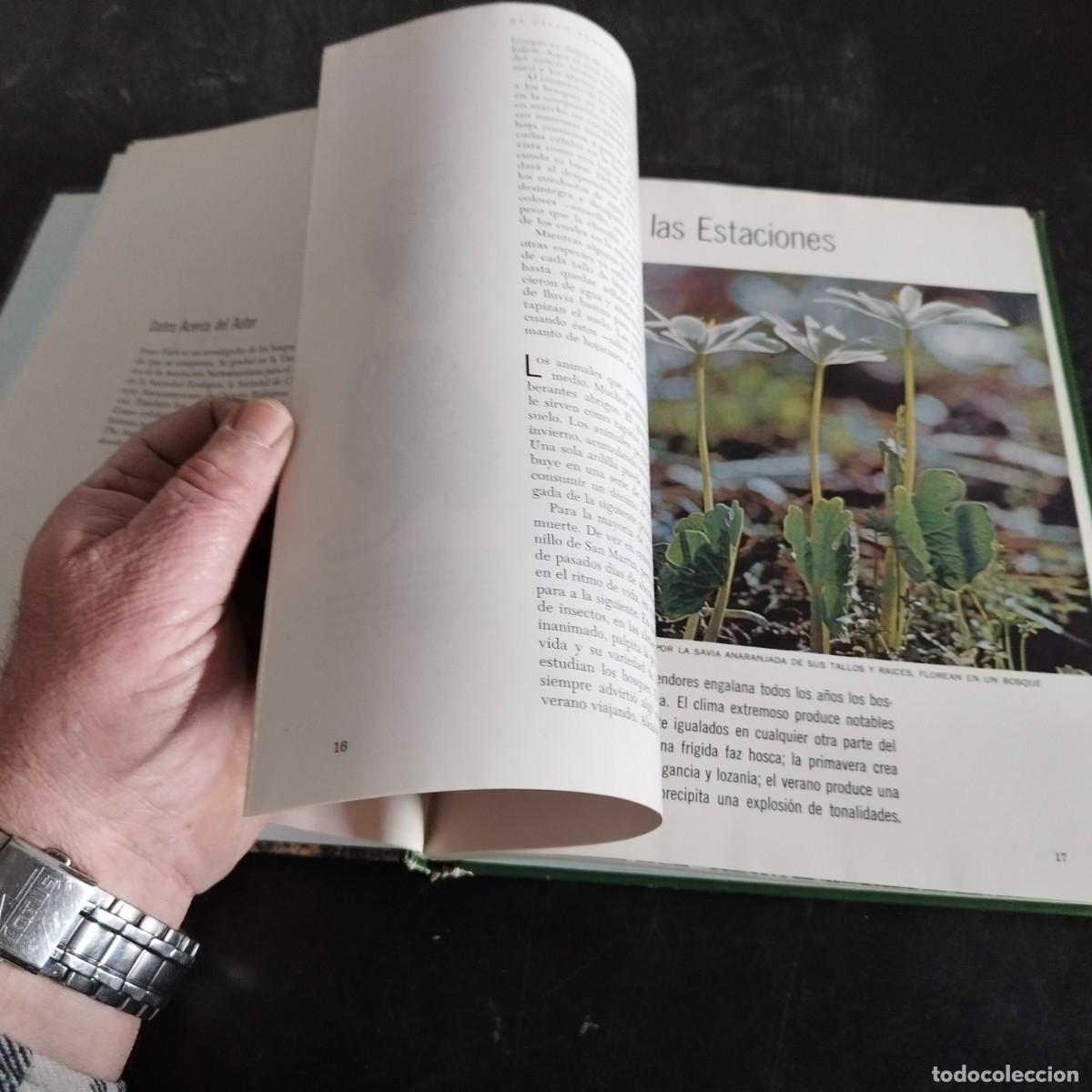 Libros de segunda mano: EL BOSQUE / PETER FARB / CONSO 17-20 E / LIFE - Foto 16
