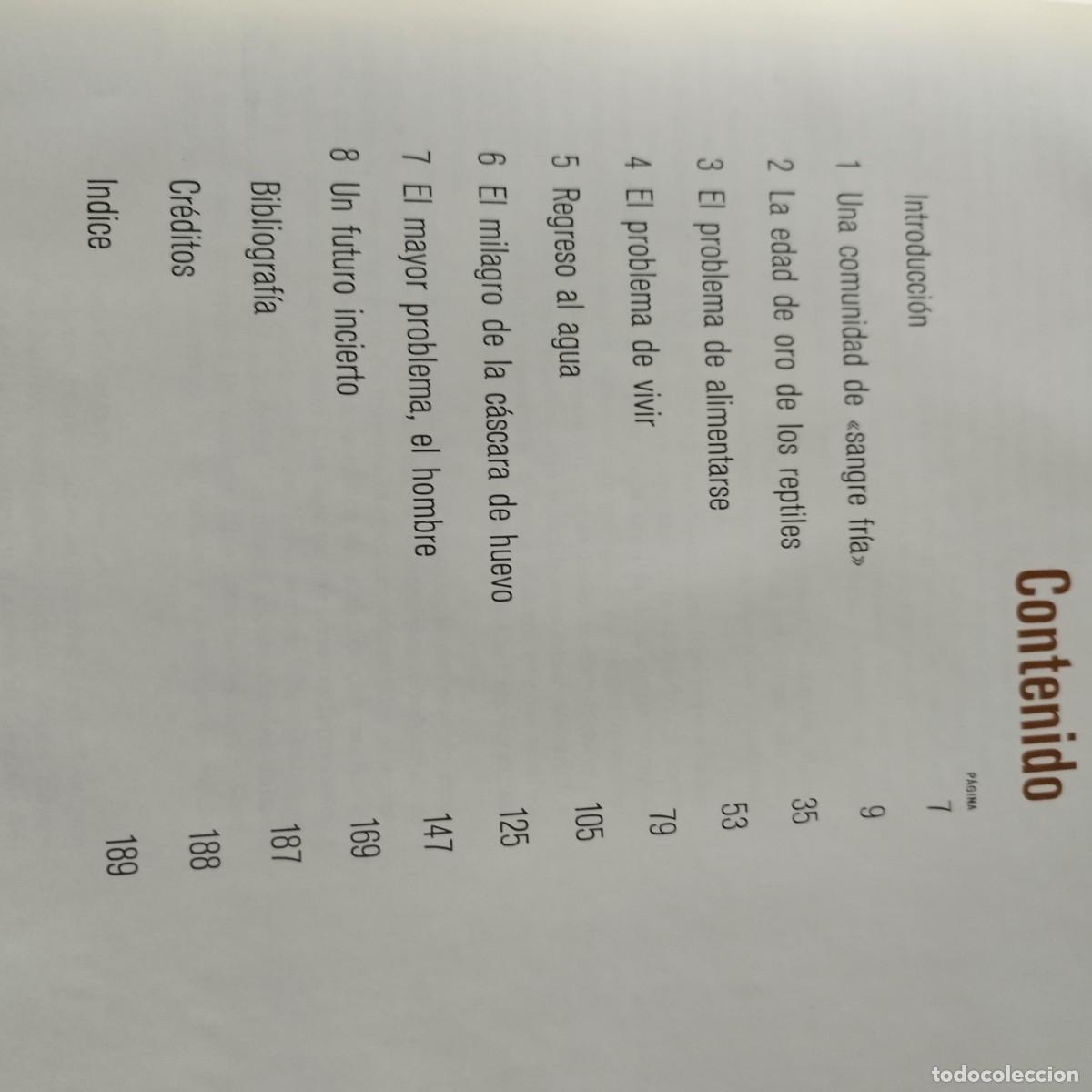 Libros de segunda mano: LOS REPTILES / ARCHIE CARR / CONSO 17-20 E / LIFE - Foto 5