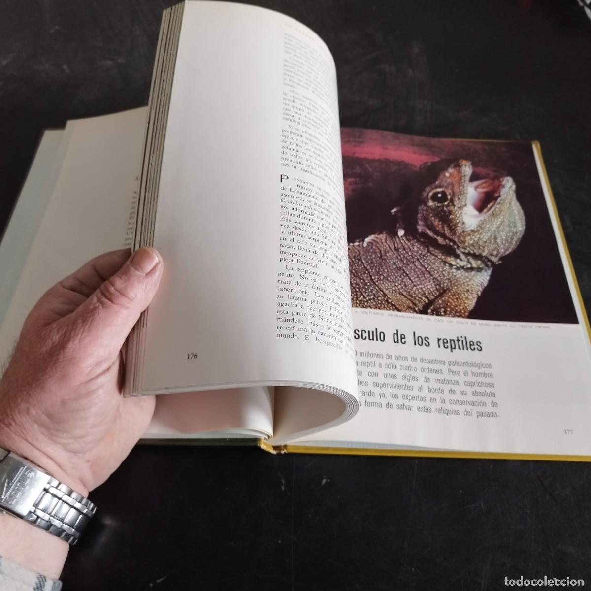 Libros de segunda mano: LOS REPTILES / ARCHIE CARR / CONSO 17-20 E / LIFE - Foto 6