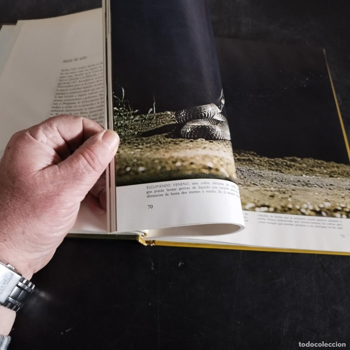 Libros de segunda mano: LOS REPTILES / ARCHIE CARR / CONSO 17-20 E / LIFE - Foto 11