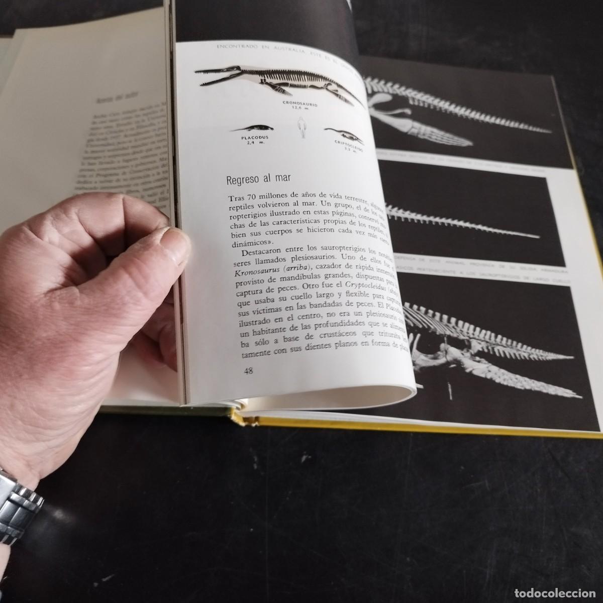 Libros de segunda mano: LOS REPTILES / ARCHIE CARR / CONSO 17-20 E / LIFE - Foto 13
