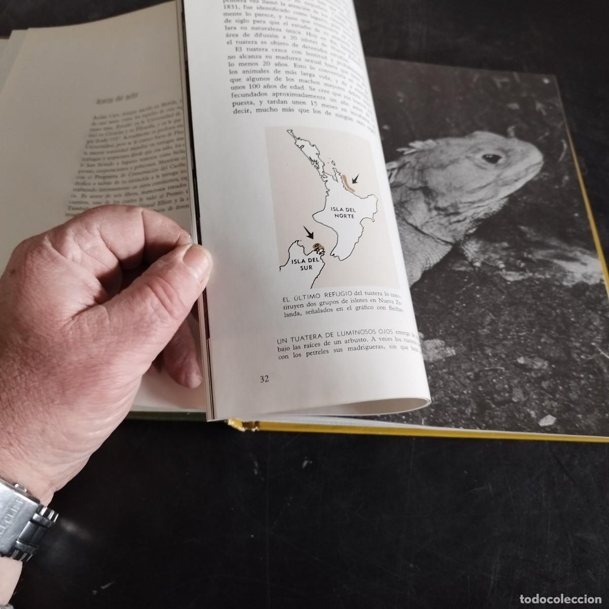 Libros de segunda mano: LOS REPTILES / ARCHIE CARR / CONSO 17-20 E / LIFE - Foto 14