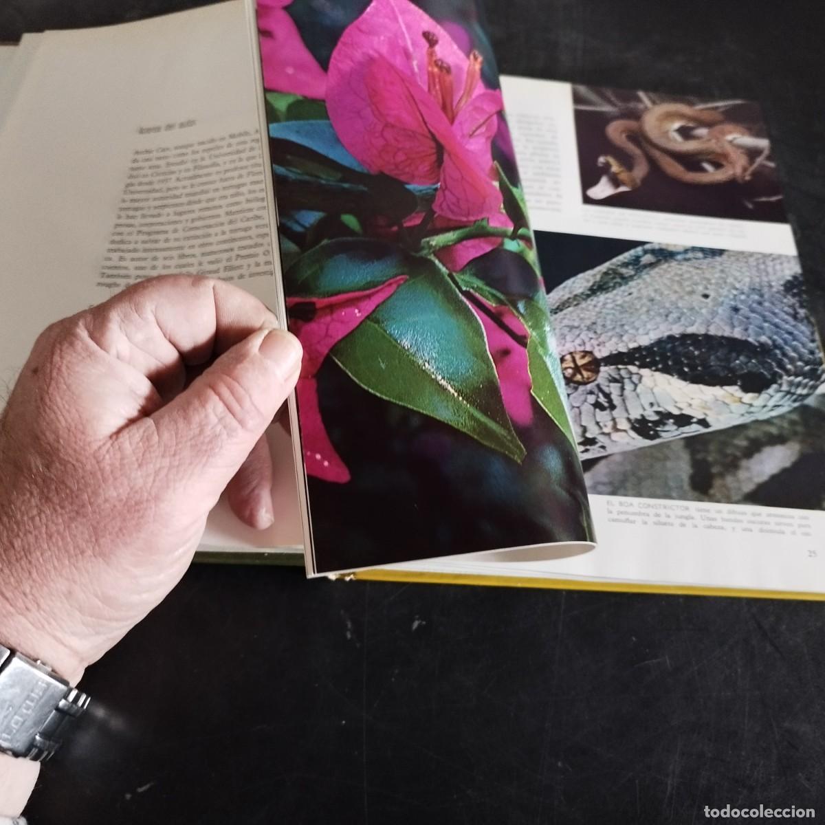 Libros de segunda mano: LOS REPTILES / ARCHIE CARR / CONSO 17-20 E / LIFE - Foto 15