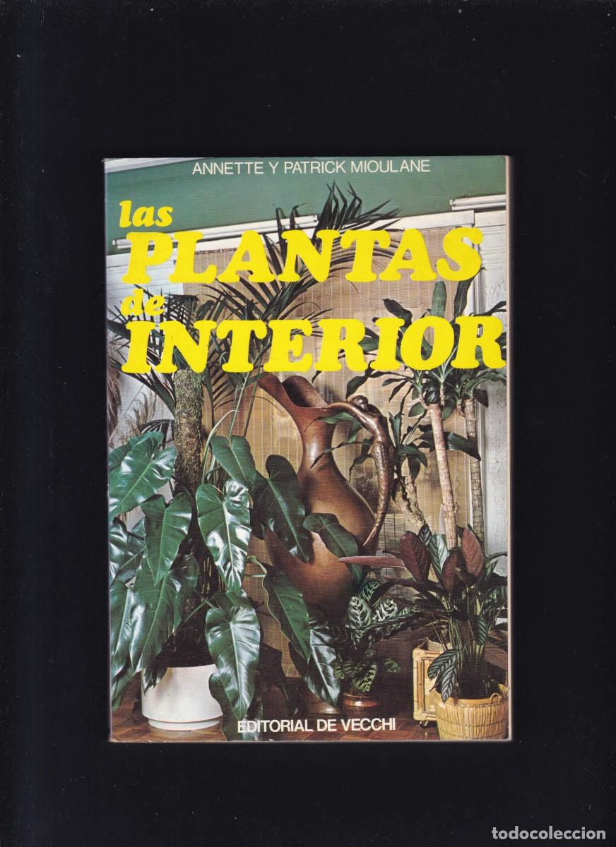 Libros de segunda mano: LAS PLANTAS DE INTERIOR - EDITORIAL DE VECCHI 1980 / ILUSTRADO - Foto 1