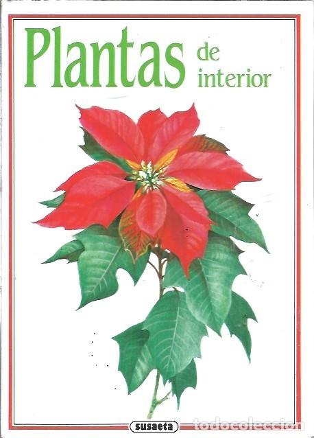 Libros de segunda mano: PLANTAS DE INTERIOR SUSAETA - Foto 1