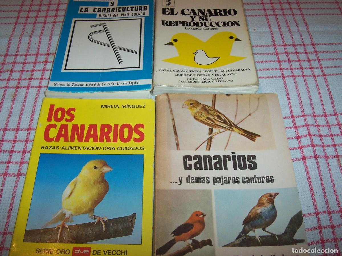 Libros de segunda mano: Lote de 4 libros sobre canarios - Foto 1