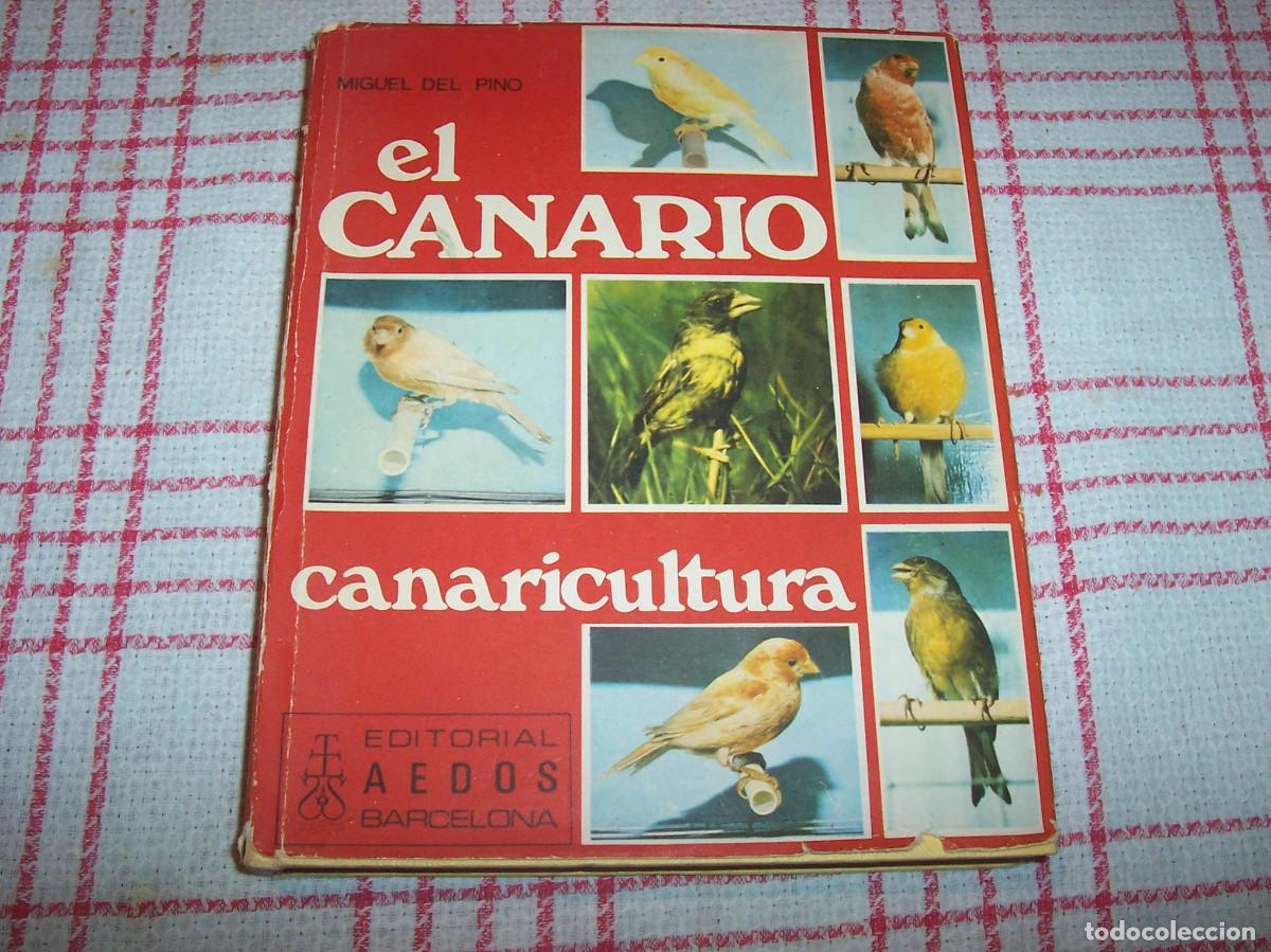 Libros de segunda mano: EL CANARIO. CANARICULTURA - Foto 1