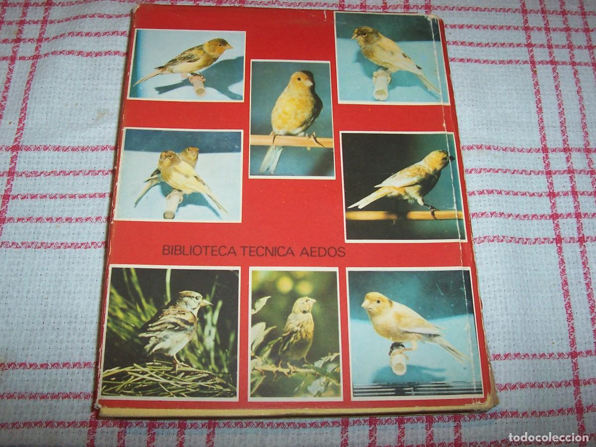 Libros de segunda mano: EL CANARIO. CANARICULTURA - Foto 2
