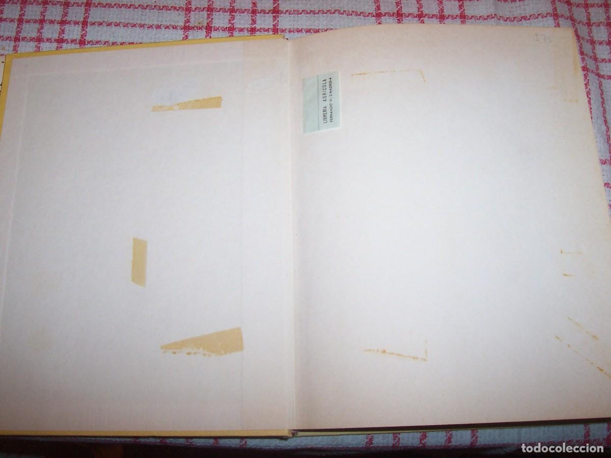 Libros de segunda mano: EL CANARIO. CANARICULTURA - Foto 6