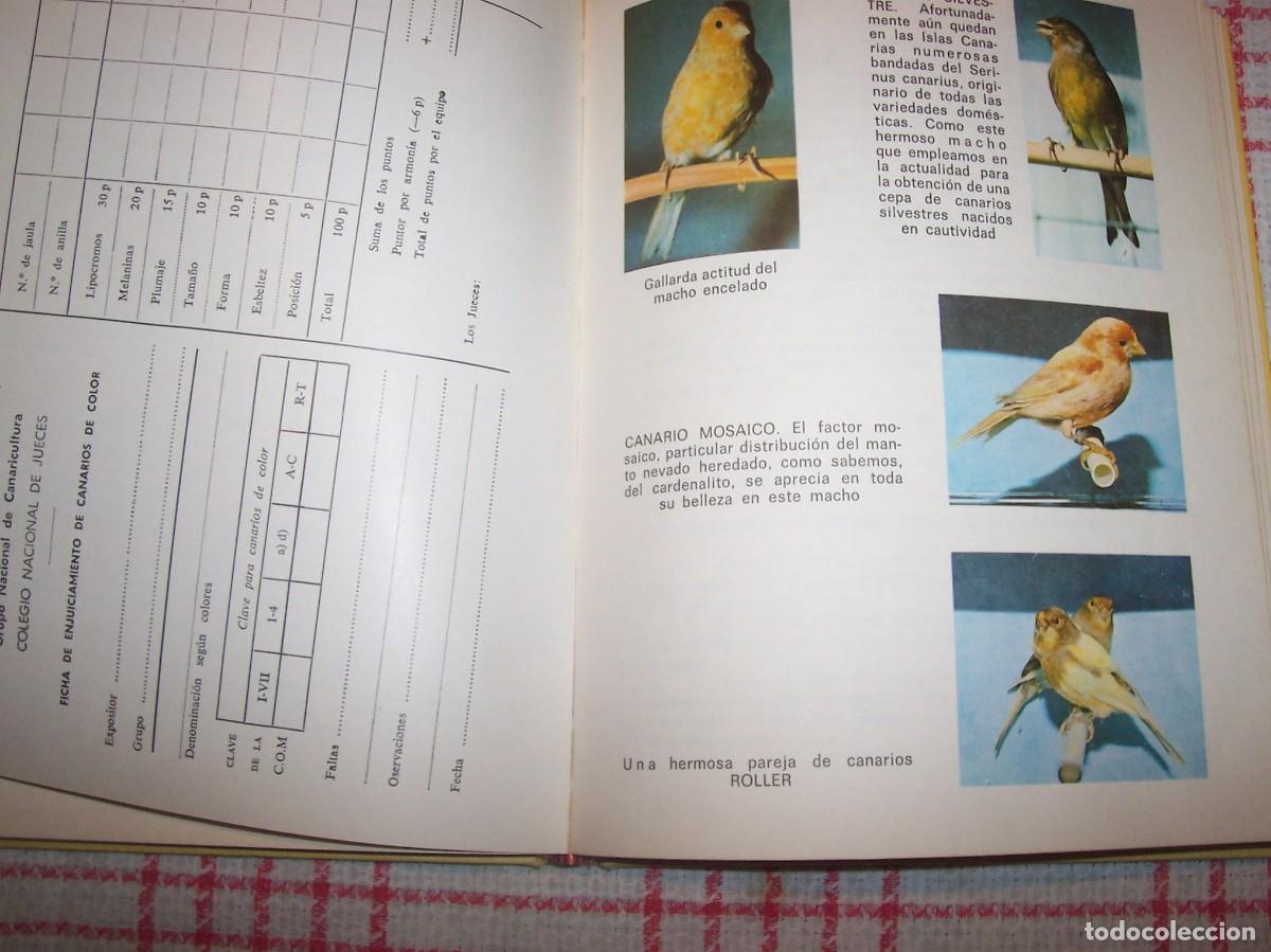 Libros de segunda mano: EL CANARIO. CANARICULTURA - Foto 8