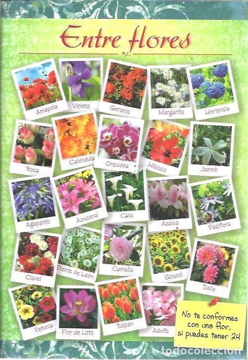 Libros de segunda mano: ENTRE FLORES BELEN DORADO - Foto 1