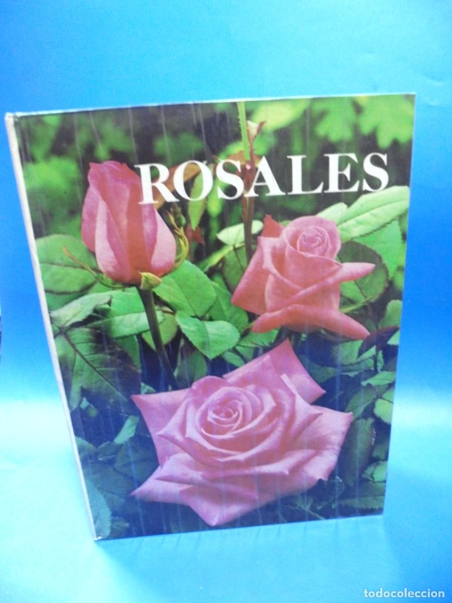 Libros de segunda mano: ROSALES. HENRY FUCHS. 1976. PAGS : 143. - Foto 1