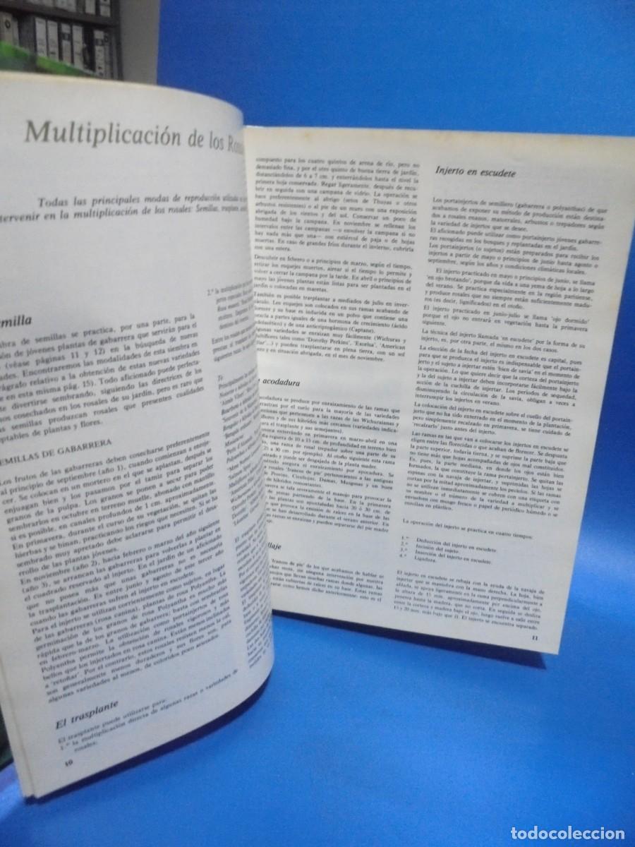 Libros de segunda mano: ROSALES. HENRY FUCHS. 1976. PAGS : 143. - Foto 2