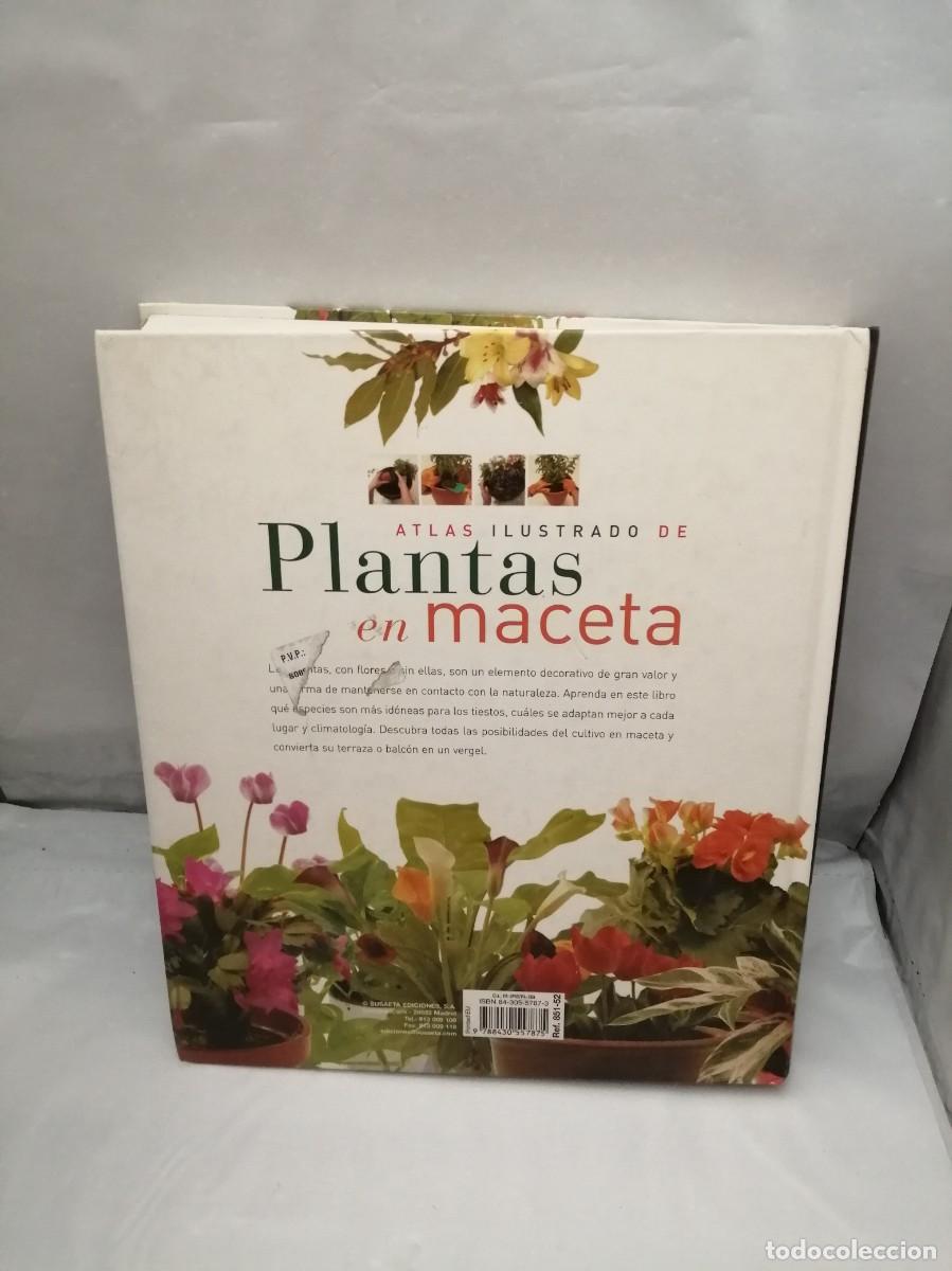 Libros de segunda mano: Atlas ilustrado de plantas en maceta - Foto 2