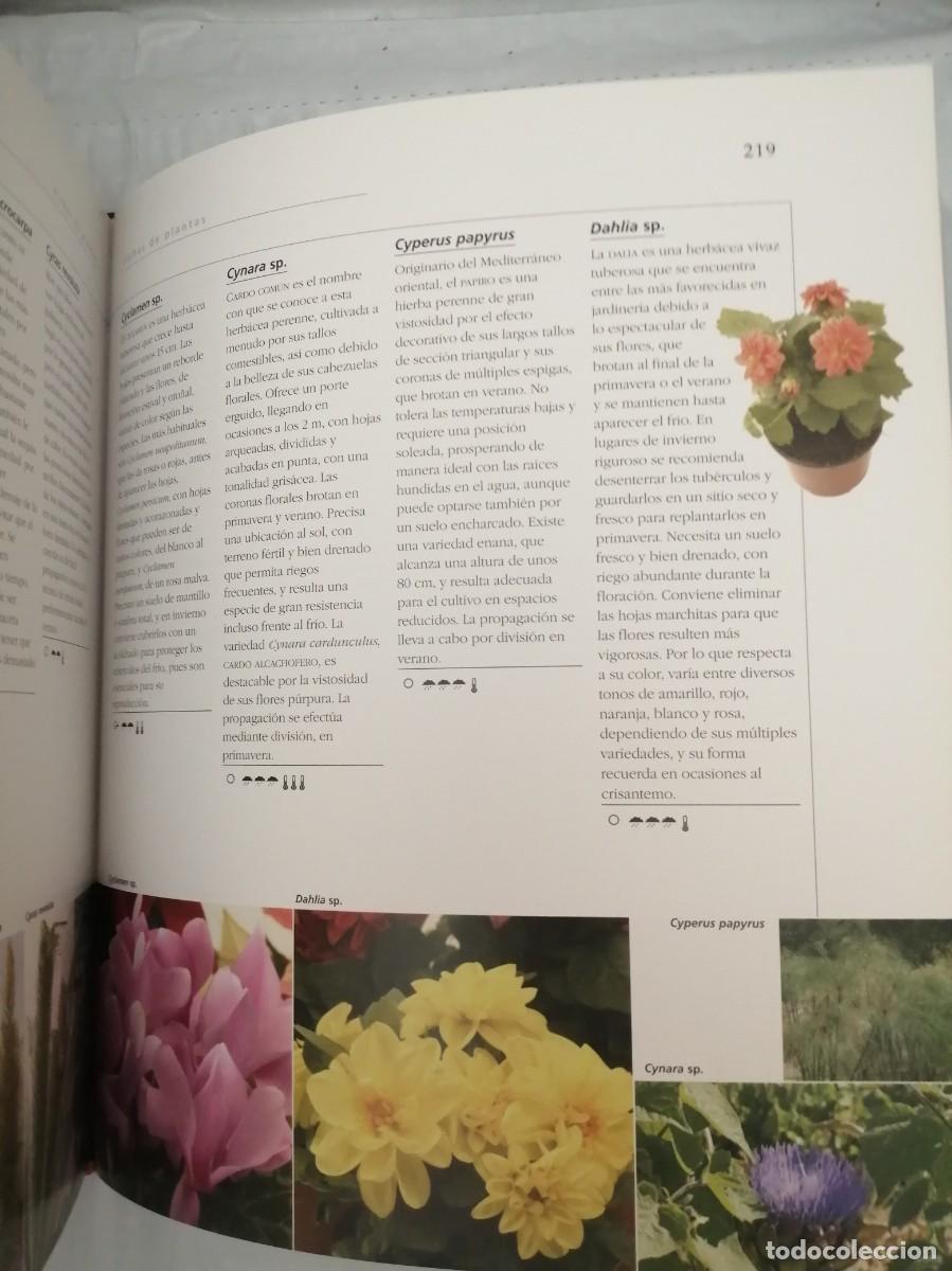 Libros de segunda mano: Atlas ilustrado de plantas en maceta - Foto 4