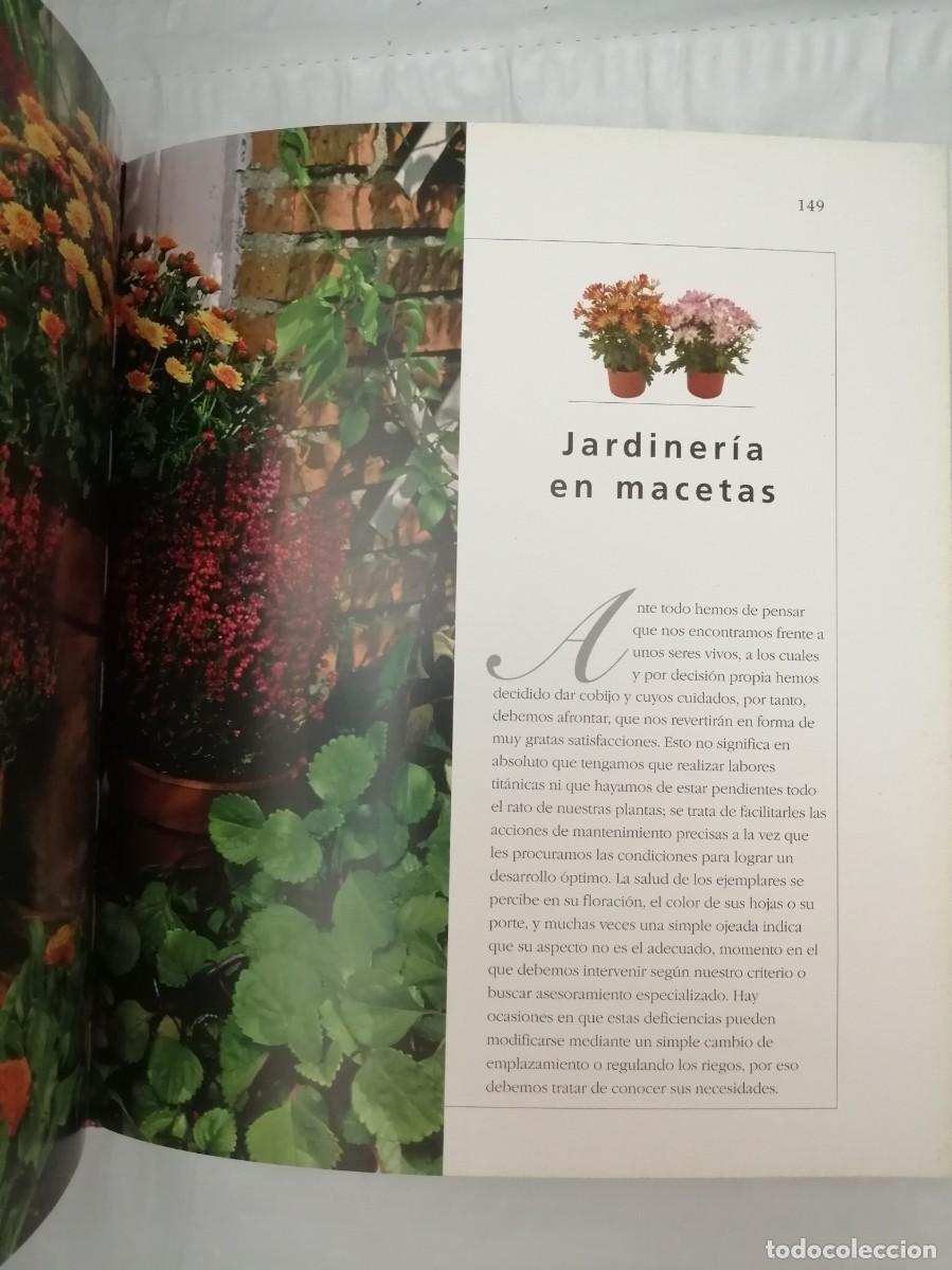 Libros de segunda mano: Atlas ilustrado de plantas en maceta - Foto 5