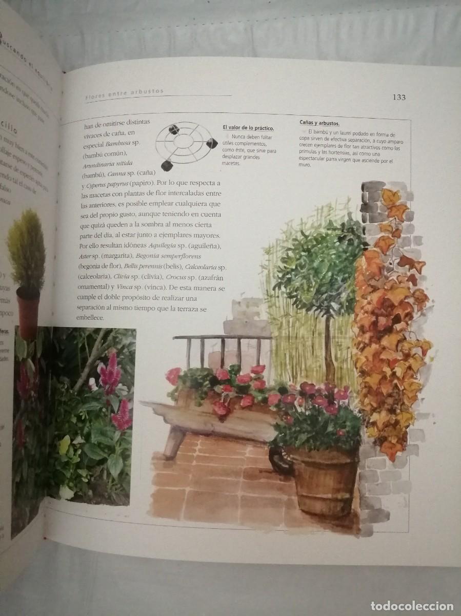 Libros de segunda mano: Atlas ilustrado de plantas en maceta - Foto 6