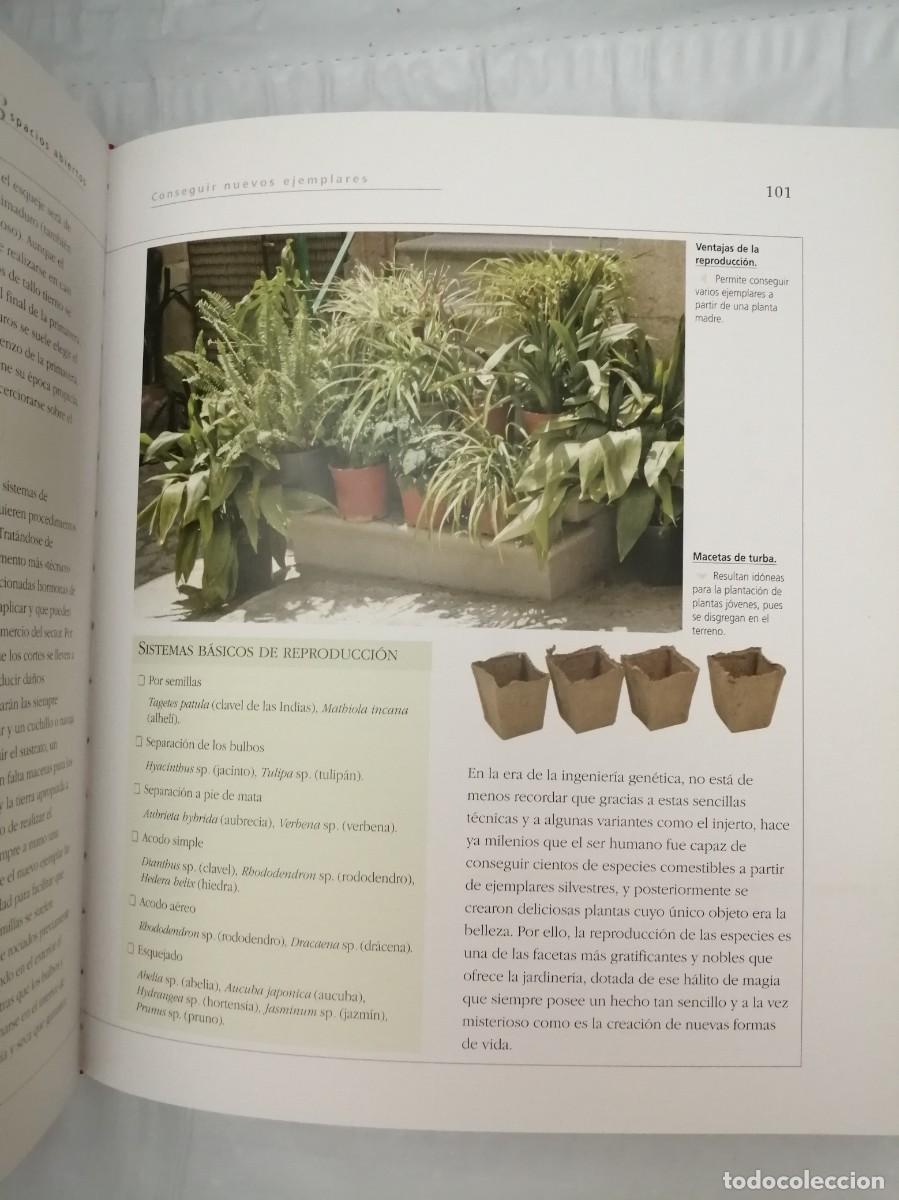 Libros de segunda mano: Atlas ilustrado de plantas en maceta - Foto 7